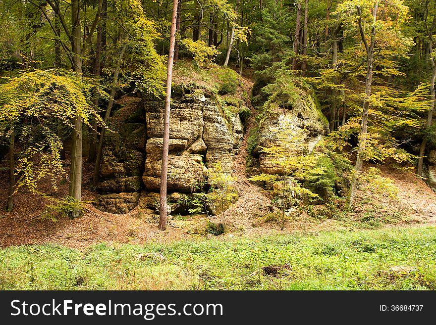 Rocks in the forest