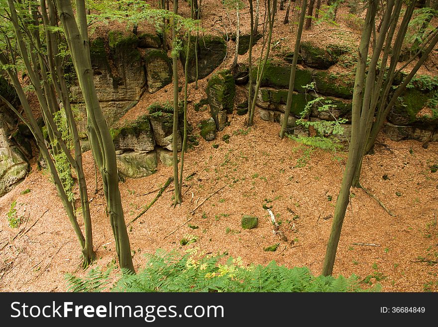 View of the valley with rocks