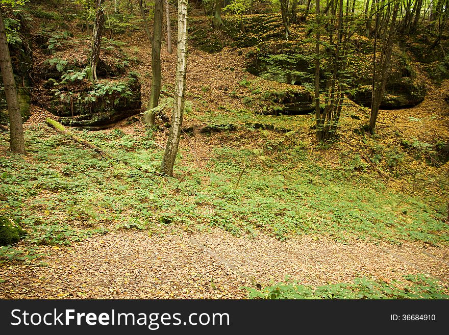 View of the valley in autumn forest