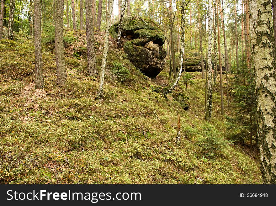 Rock from the side of a human face in tvau. Rock from the side of a human face in tvau