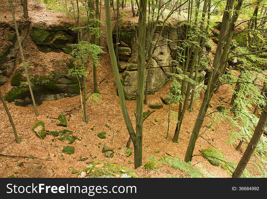 Rocky valley in autumn forest. Rocky valley in autumn forest