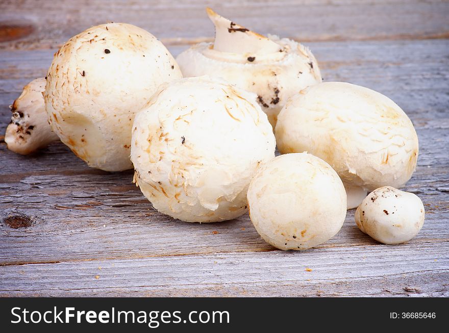 Arrangement of Fresh Ripe White Champignon Mushrooms on Rustic Wooden background