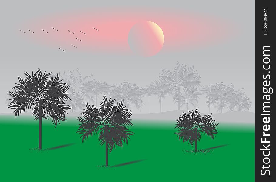 Tropics. Tropical landscape with Palm forest on a background of pink sunset and a flock of migratory birds