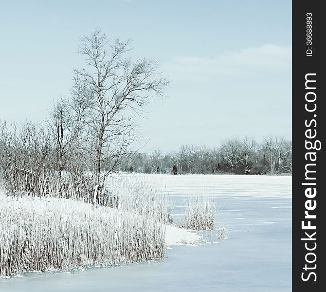 Winter view in the forest with frozen lake