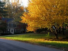 Fall Colors In Suburbia 1 Royalty Free Stock Photography