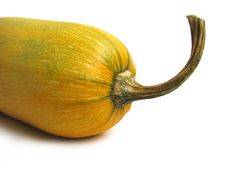 Squash Stock Photo Squash Stock Photo