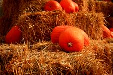 Pumpkins On Straw Bales 2 Royalty Free Stock Photos Pumpkins On Straw Bales 2 Royalty Free Stock Photos