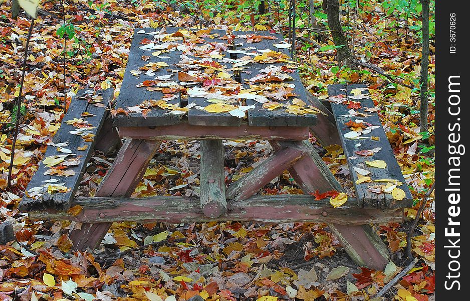 Picnic Table In Fall, covered and surrounded with leaves