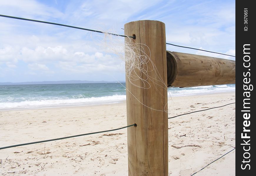 Tangled fishing Line on a Wooden Fence