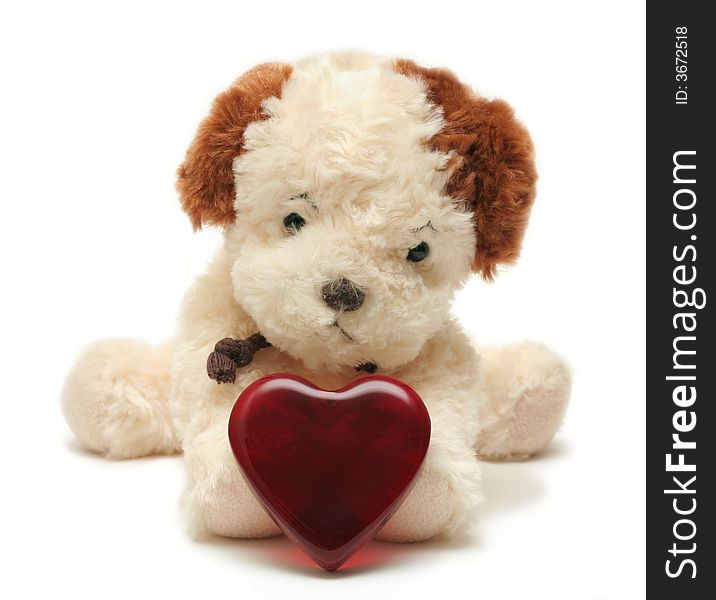 Greeting card - toy dog with heart in a box 04