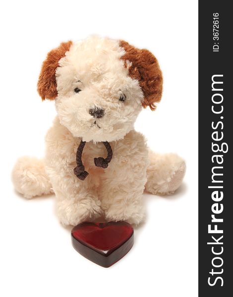 Greeting Card - Toy Dog With Heart In A Box 05