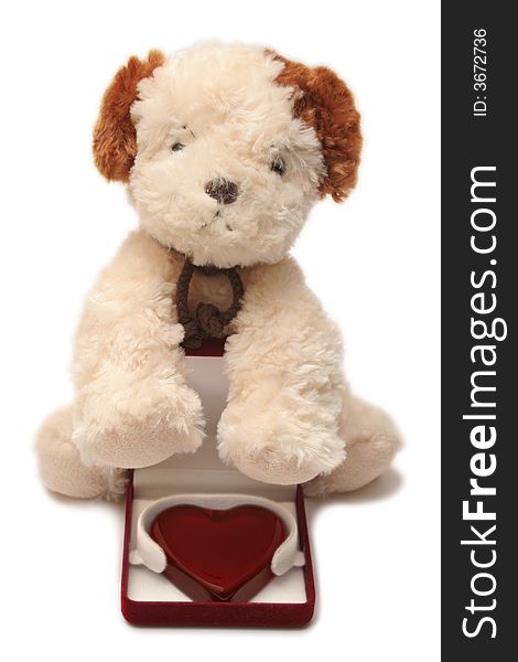 Greeting card - toy dog with heart in a box 06