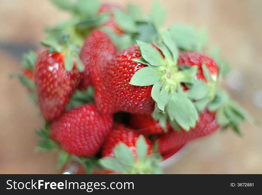 A small tin bucket of strawberries on a wooden chop block for nice color contrast. A small tin bucket of strawberries on a wooden chop block for nice color contrast.