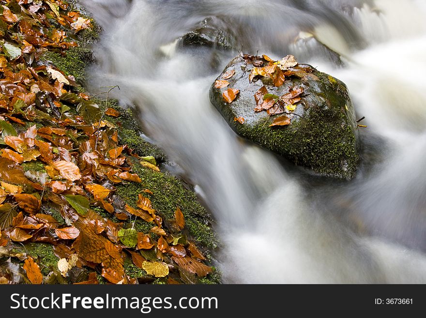 Hidden Brook In Autumn