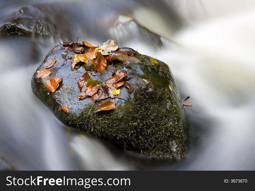 Hidden Brook In Autumn