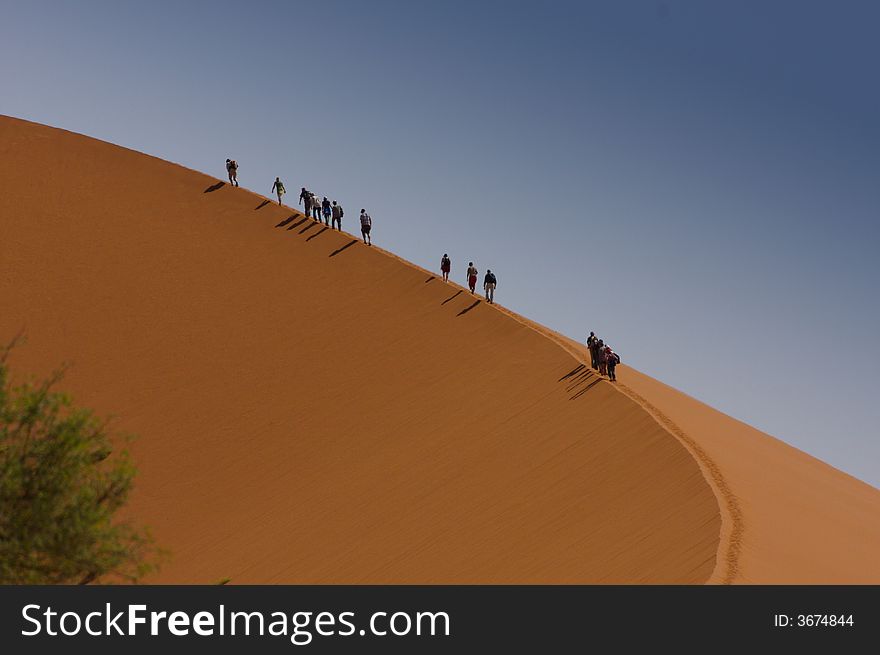 A group of dune climbers in disciplined row