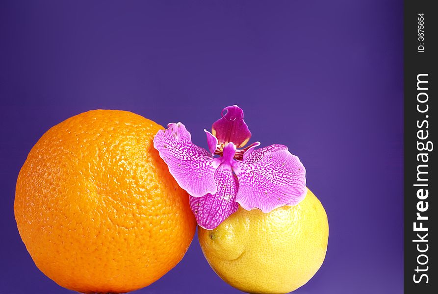 Orange, Lemon And Orchid