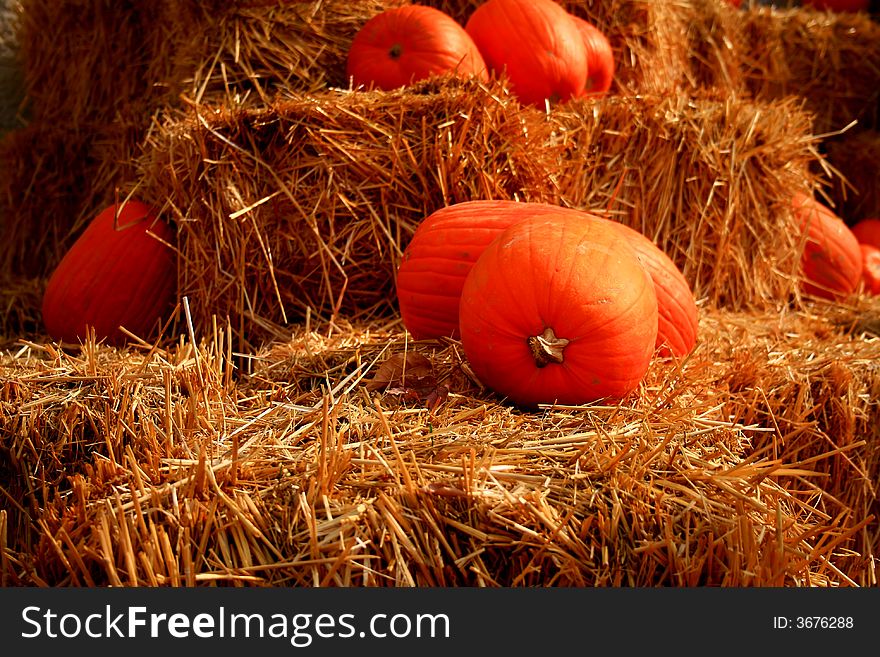 Pumpkins on bale of straw in autumn. Pumpkins on bale of straw in autumn
