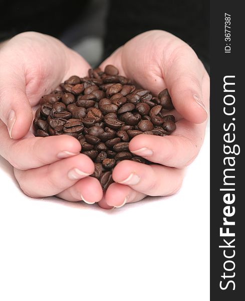 It is a lot of grains of coffee lay in hands