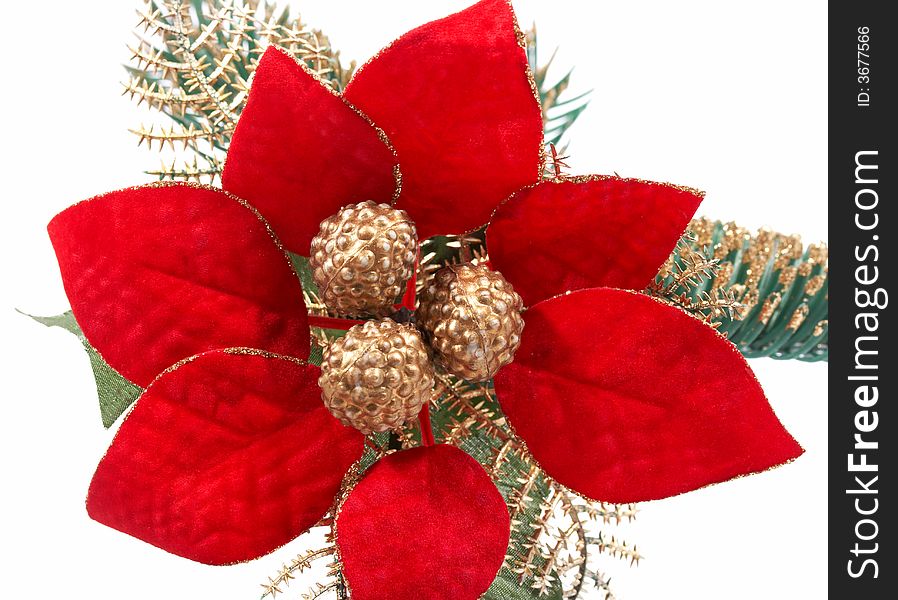 Christmas decoration poinsettia over a white background