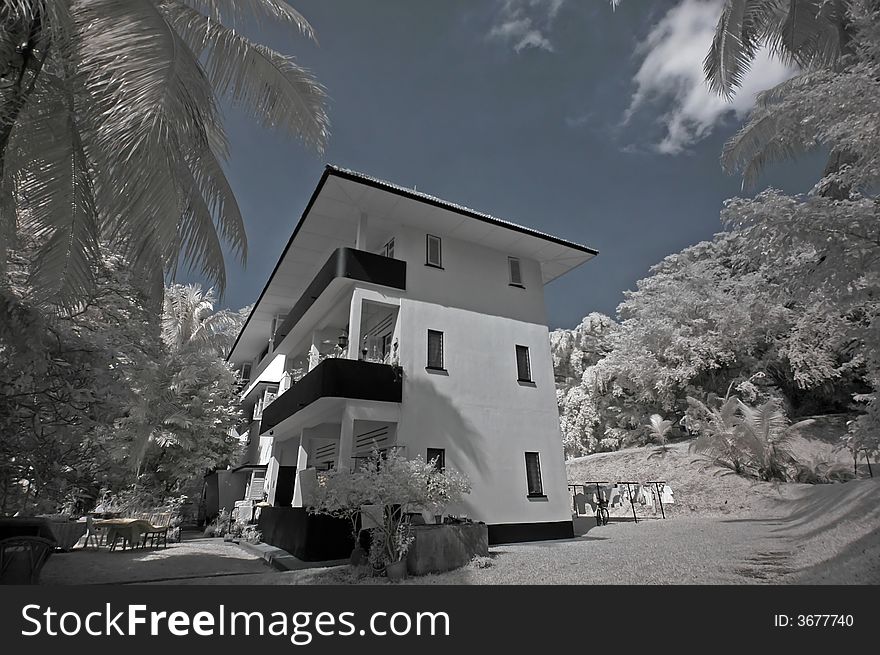 Infrared photo – tree, old house and cloud