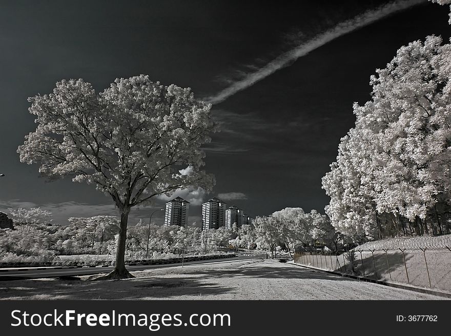 Infrared photo â€“ tree, building and cloud in the parks. Infrared photo â€“ tree, building and cloud in the parks