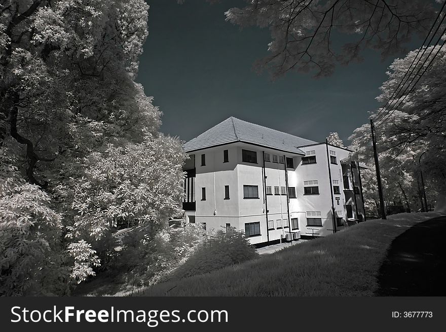 Infrared Photo â€“ Tree, Old House And Cloud