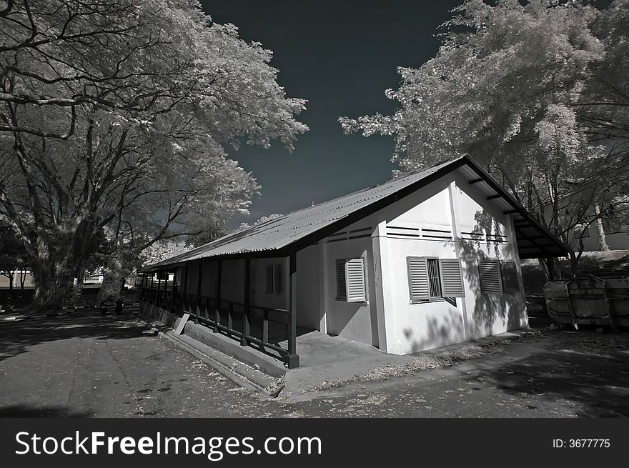 Infrared photo – tree, old house and cloud