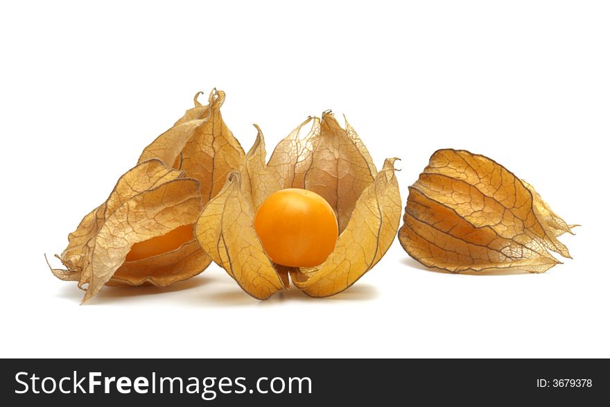 Fresh physalis on white background