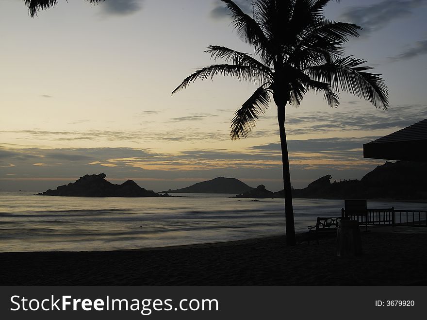 Cloudy sunrise at seaside with silhouette palm tree