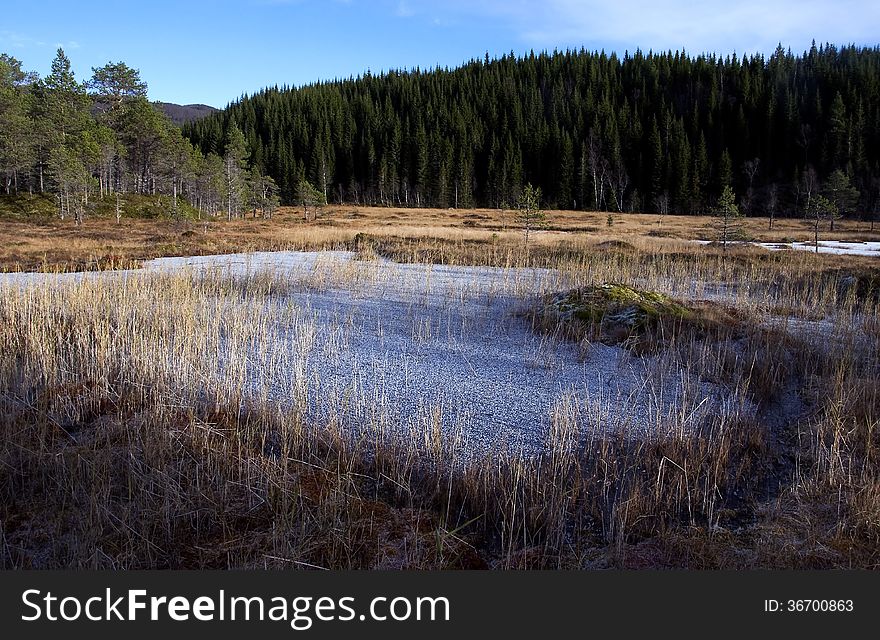 Autumn trees and snow on meadow in outdoor scene. Autumn trees and snow on meadow in outdoor scene