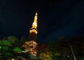 Free Tokyo Tower At Night Royalty Free Stock Image - 36711266