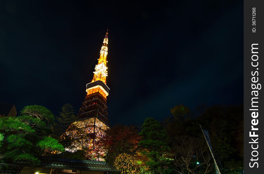 Tokyo Tower at night, Tokyo, Japan