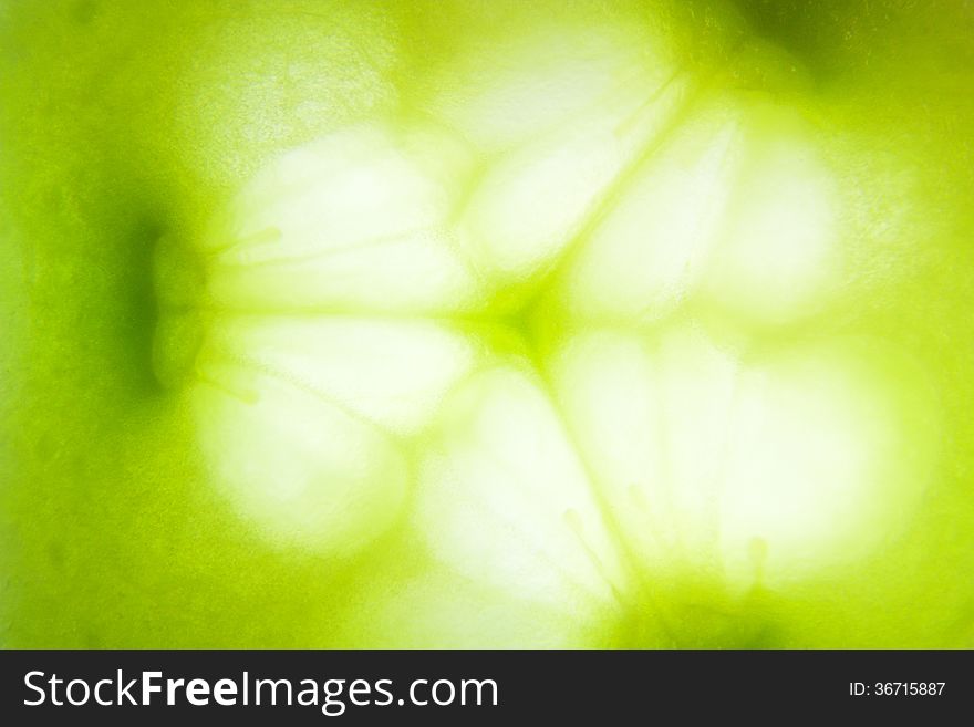 Detailed structure of the pulp of cucumbers. Detailed structure of the pulp of cucumbers
