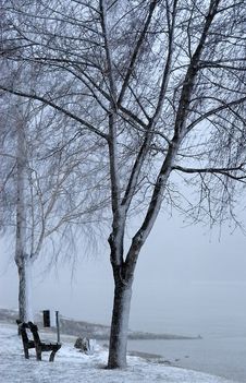 Riverbank In Winter No.1 Royalty Free Stock Photo