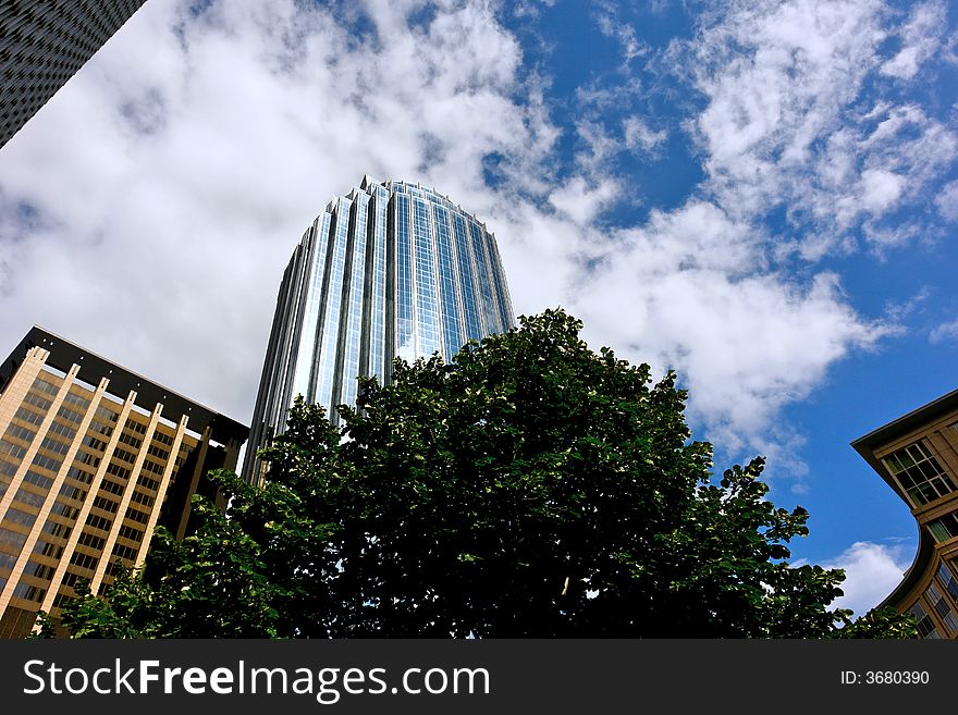 Dizzying image of glass tower growing out of the top of the tree, surrounded by buildings. Dizzying image of glass tower growing out of the top of the tree, surrounded by buildings