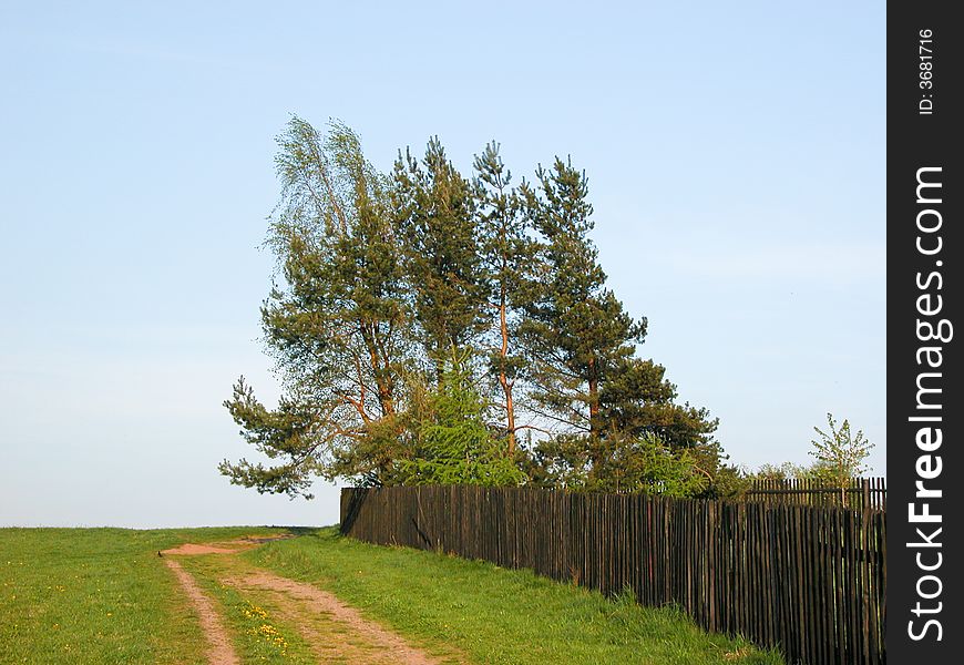 Fence that is of marginal village