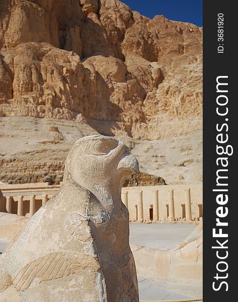 Statue of the Horus at the female Temple Pharaoh Hatshepsut in Egypt. Statue of the Horus at the female Temple Pharaoh Hatshepsut in Egypt.