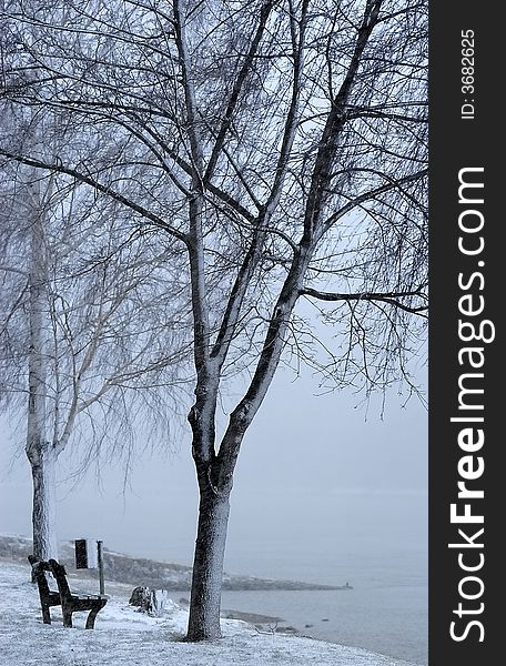 Riverbank of the Danube at Duernstein during winter. Riverbank of the Danube at Duernstein during winter