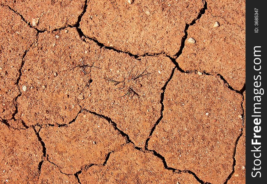 Earth crevasses in a drought terrain