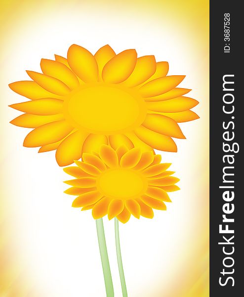 Illustration of yellow sunflower on framed background. Illustration of yellow sunflower on framed background