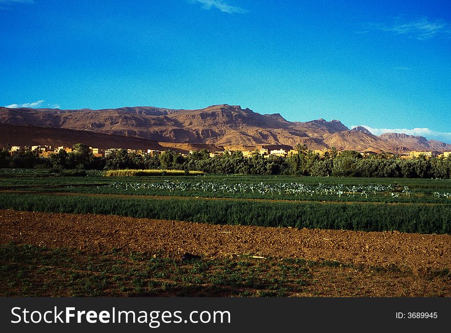 Landscape mountainous and crops in morocco