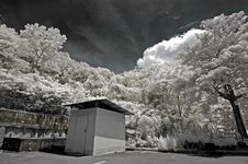 Infrared Photo – Tree, Hut And Cloud In The Park Royalty Free Stock Images Infrared Photo – Tree, Hut And Cloud In The Park Royalty Free Stock Images