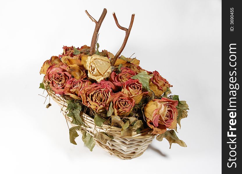 Dry rose in the wicker basket