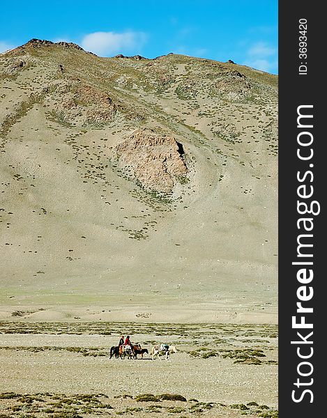 Himalayan nomads populations, along Leh-Manali road, Ladakh, India