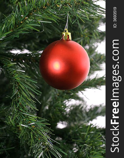 Photo of a red ornament on tree background