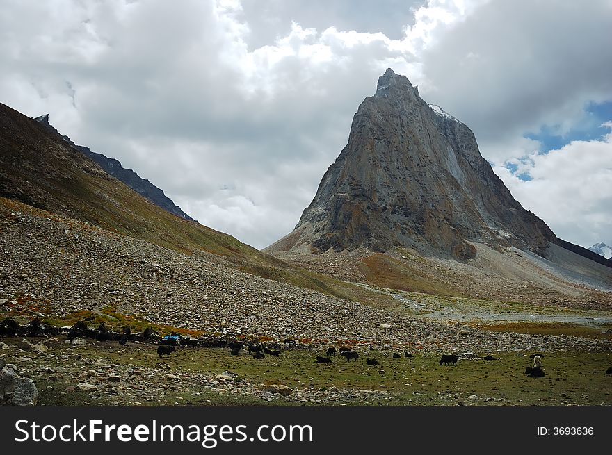 Himalayan scenic along Padum Trek, Ladakh, India.