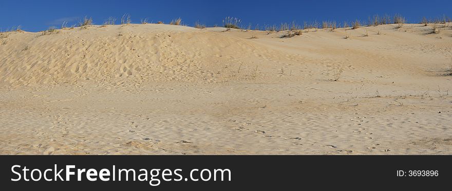 Panoramic shot of sand dunes, against deep blue sky. Panoramic shot of sand dunes, against deep blue sky