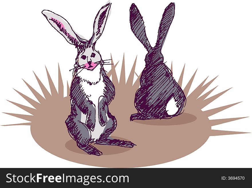 Illustration, vector for two rabbit with front and back view