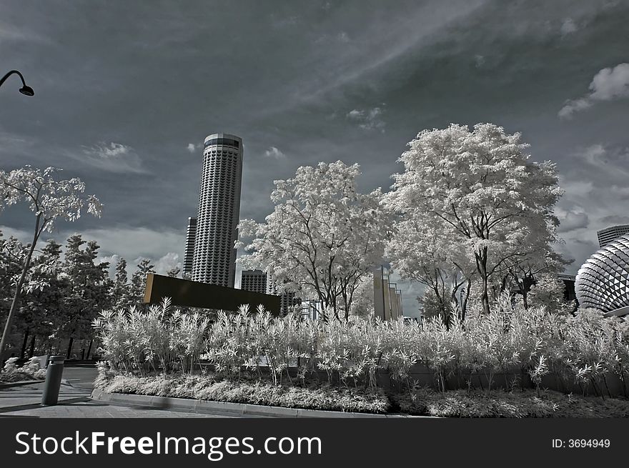 Infrared photo – tree, building and cloud